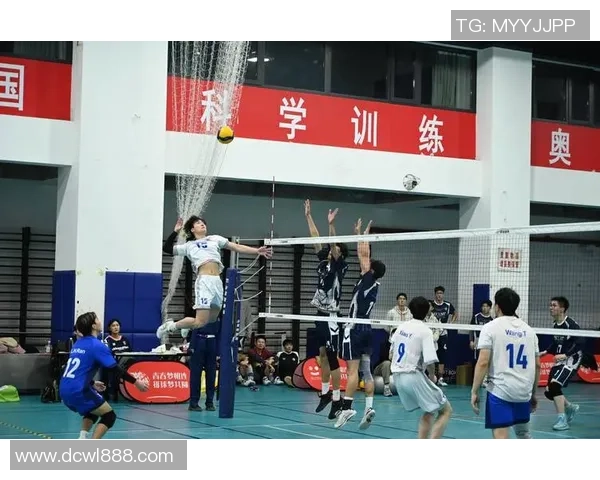 杭州排球队整体压制革新探索与实践的深度剖析与未来展望